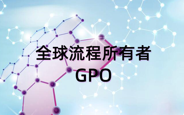 全球流程所有者GPO：推动业务流程卓越